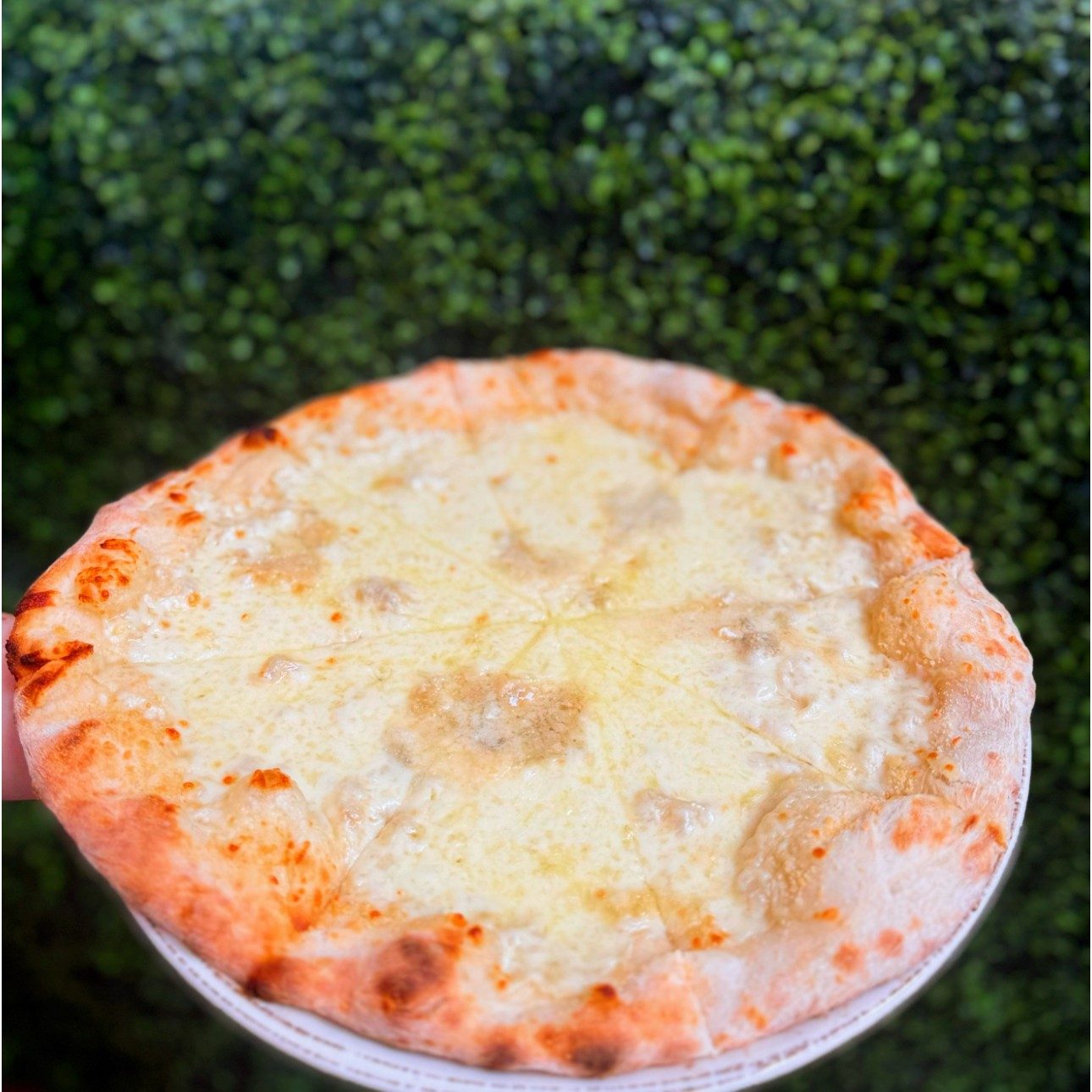 Pizza Four cheese.