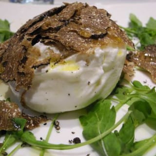 Burrata Black Truffle